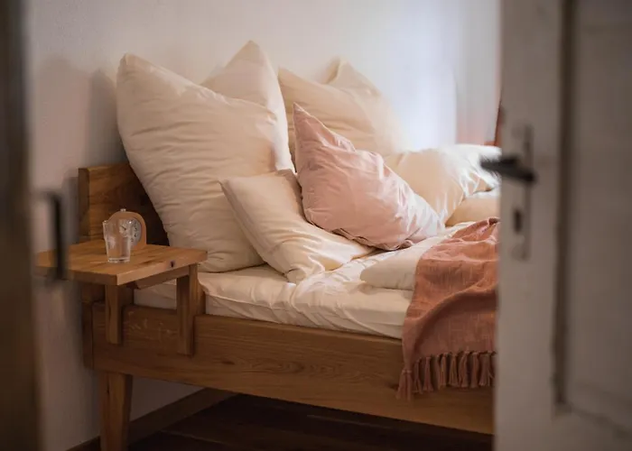 Gehobenes Ambiente In Historischer Wohnung